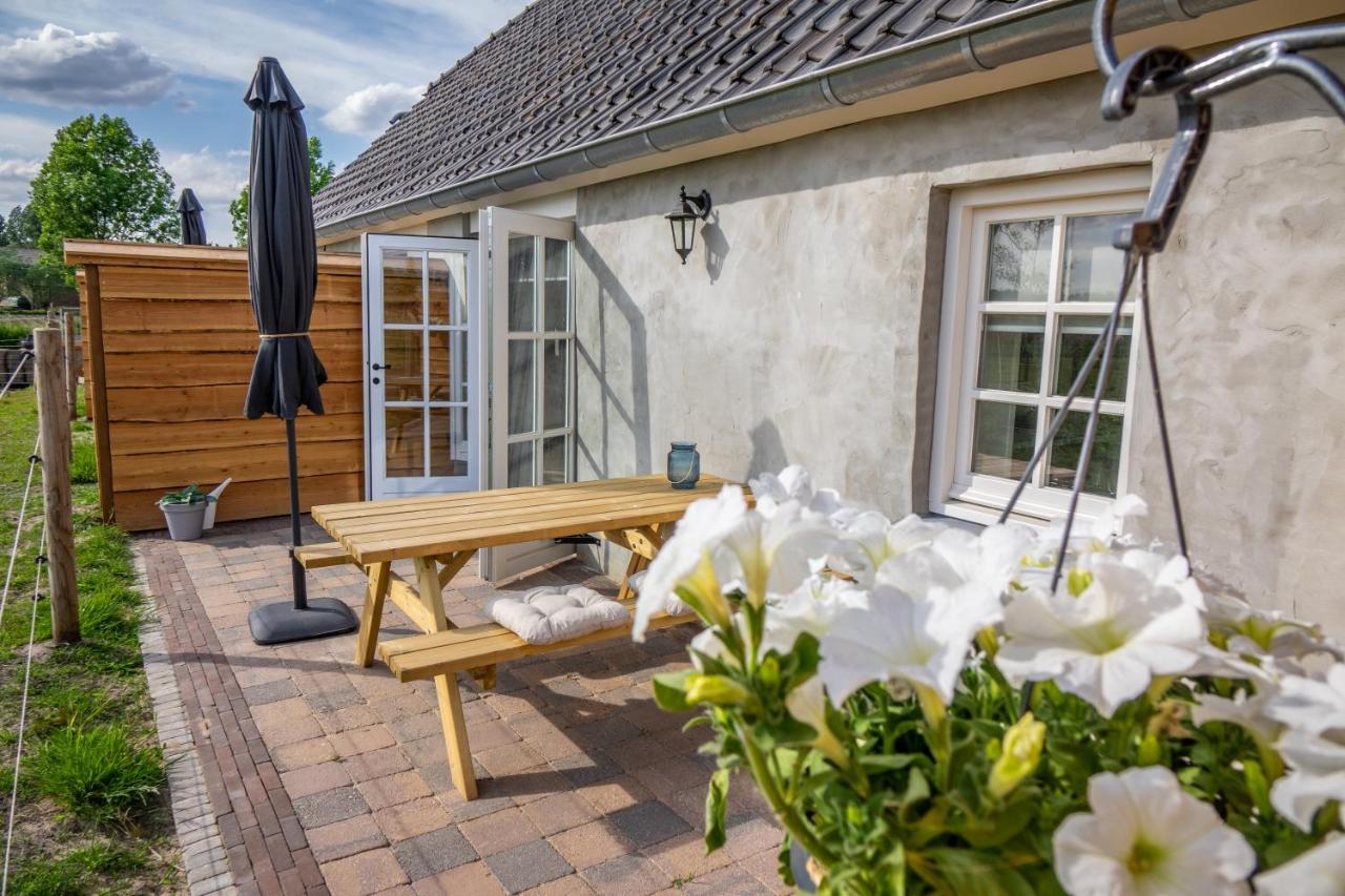 B&B Hoeve Klein Haneveld Sint-Oedenrode Dış mekan fotoğraf