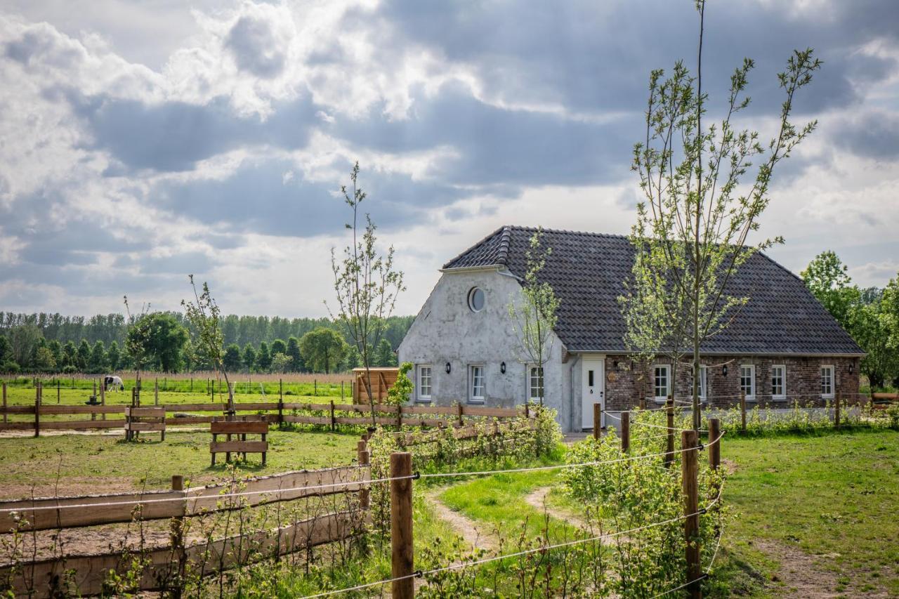 B&B Hoeve Klein Haneveld Sint-Oedenrode Dış mekan fotoğraf