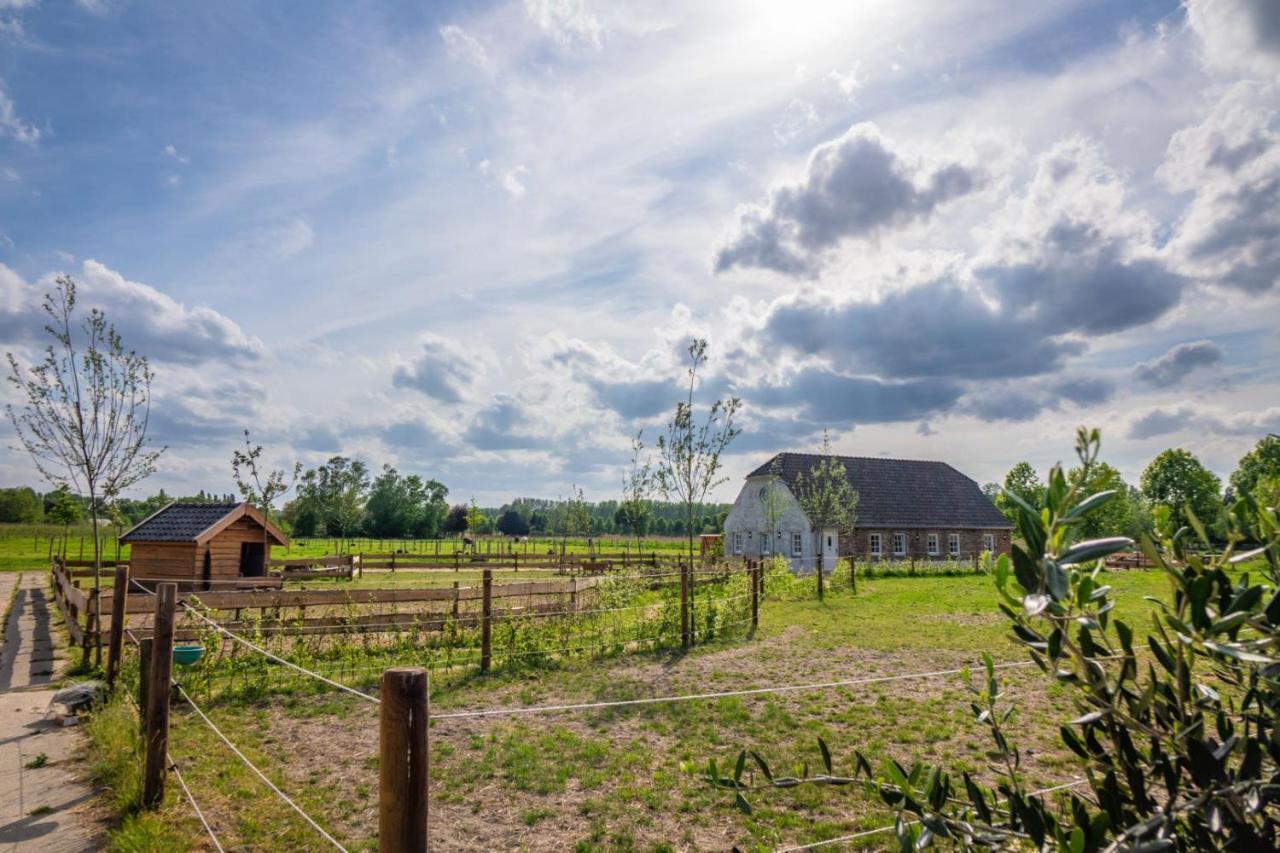 B&B Hoeve Klein Haneveld Sint-Oedenrode Dış mekan fotoğraf