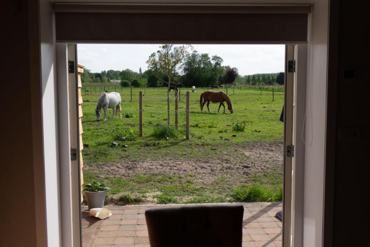 B&B Hoeve Klein Haneveld Sint-Oedenrode Dış mekan fotoğraf